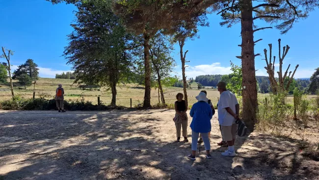 Le groupe marche à l'ombre des arbres